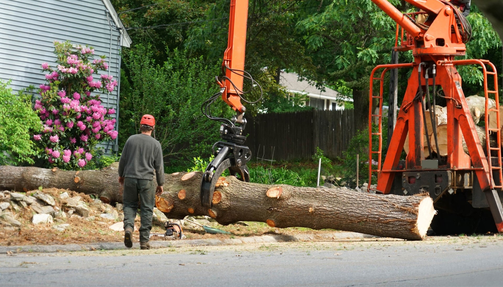 Local partner for Tree removal services in Myrtle Beach